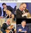 Diktatorenhunde