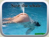 safe the wale